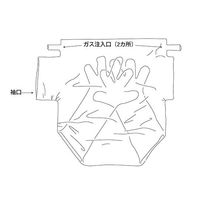 アズワン グローブバッグ 6枚入 S-30 1ケース(6枚) 3-119-04（直送品）