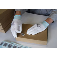 【ウレタン背抜き手袋】 ショーワグローブ 被膜強化パームフィット手袋 B0501 ホワイト M 1双