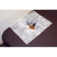 フィフティ・ヴィジョナリー ピローシート(クロススリット入り) PL-002 1箱(500枚入)