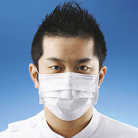 ファーストレイト　1パックマスク 3層式　レギュラーサイズ　ホワイト　FR-196　使い捨て　不織布　1箱（50枚入）