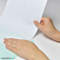 コクヨ　クリヤーブック替紙（カラーマット）　A4タテ30穴　緑　ラ-880NG　1箱（200枚：10枚入×20袋）