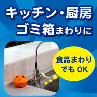 【アウトレット】コバエがポットン 置くタイプ コバエ取り 1箱（2個入） 大日本除虫菊 KINCHO キンチョー