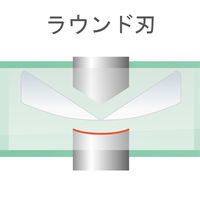 フジ矢 薄刃プラスチックニッパ125mm HP925-125 1個