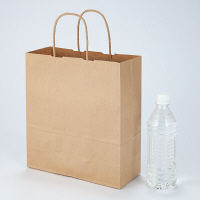 丸紐 クラフト紙手提袋ベーシック 260×280×100 茶 1袋（50枚入）  オリジナル