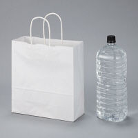 丸紐 クラフト紙手提袋ベーシック 260×280×100 白 1袋（50枚入）  オリジナル