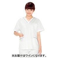 ディーフェイズ スクラブ DS2001 1枚　スクラブ（直送品）