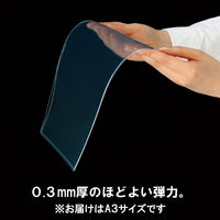 アスクル　カードケース　ソフトタイプ　A3　20枚  オリジナル