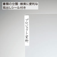 コクヨ（KOKUYO） クリヤーホルダー（2穴あき） A4 透明 フ-750 1セット（5枚）