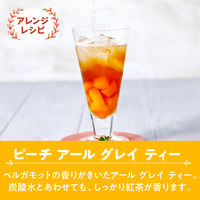 片岡物産 トワイニング リキッドティー アールグレイ 1L 1箱（6本入）