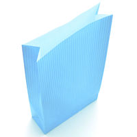 ササガワ 角底袋 クリスタルブルー 50-3711 1セット(1包(100枚)×2)