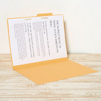 プラス　個別フォルダー　A3　イエロー　FL-069IF　87427　1袋（10枚入）