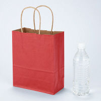 手提げ紙袋　丸紐　ベーシックカラー　赤　SS　1セット（900枚）　スーパーバッグ  オリジナル
