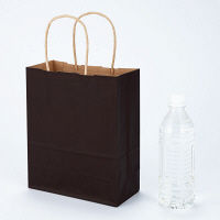 手提げ紙袋　丸紐　ベーシックカラー　こげ茶　SS　1セット（900枚）　スーパーバッグ  オリジナル