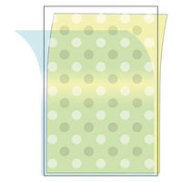 アートプリントジャパン　フェイスファイブフレーム B5（外寸：307×232mm） クリア 3枚