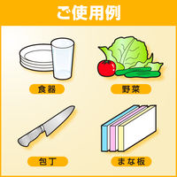 超コンパクト食器用洗剤 パフォーミィ 業務用2L 1セット（3個：1個×3）花王