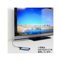 サンワサプライ イーサネット対応ハイスピードHDMIマイクロケーブル 2m KM-HD23-20（直送品）