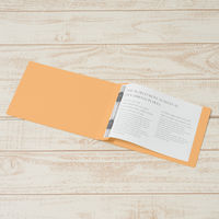 プラス　フラットファイル樹脂製とじ具　A5ヨコ　イエロー　No.042N　10冊