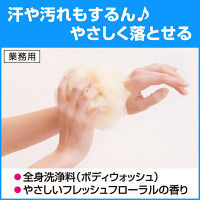 ビオレu ボディソープ プレーン やさしいフレッシュフローラルの香り〔微香性〕10L 花王 （コック別売り）