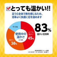 靴用カイロ エステー オンパックス 中敷つま先用 くつ下のつま先裏に敷くカイロ 持続9時間（15足入）