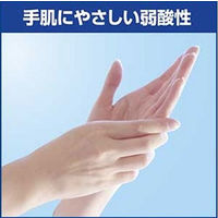 クリーン＆クリーンF1 薬用ハンドウォッシュ 本体 700mL 1個 【泡タイプ】 花王