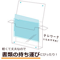 セキセイ　見出し付きキャリーファイル　背幅40mm　1セット（3冊：1冊×3）