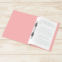 プラス フラットファイル A5タテ ピンク No.041N　100冊