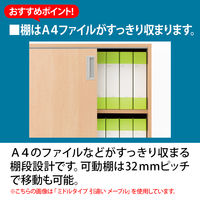 ARAN WORLD　EIDOS（エイドス）　TR収納ミドルタイプ　A4　3段　両開き　ダークブラウン　1台（2梱包）（取寄品）