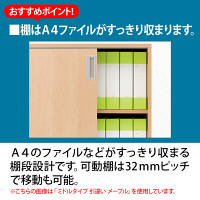 ARAN WORLD　EIDOS（エイドス）　TR収納ハイタイプ　A4　5段　両開き　木製扉　ダークブラウン　1台（3梱包）（取寄品）