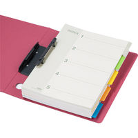 アスクル　カラーインデックス　A4タテ　インデックスシート　2穴　5山　400組（10組入×40袋）  オリジナル