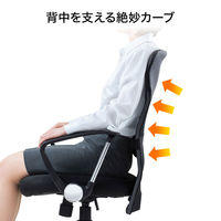 サンワサプライ ローバックネットチェア オフィスチェア 肘付 ブラック SNC-AS2BK 1脚 メッシュチェア 脚幅600mm 事務椅子（直送品）