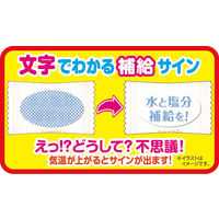 佐久間製菓 応塩飴・クエン酸飴MIXキャンディ 1袋（1kg：約265粒入）