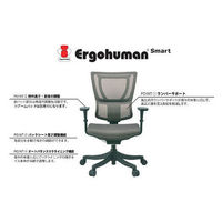エルゴヒューマン スマート オフィスチェア エラストメリックメッシュ 肘付 ブラック/KM11 EHS KM11 BK 1脚（2梱包）