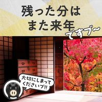 蚊取り器 蚊 駆除 アースノーマット 蚊とり黒ブタ 60日セット 蚊とり 蚊除け 虫よけ 液体蚊取り 対策 殺虫剤 室内 部屋 1セット アース製薬