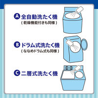 エステー　洗浄力（センジョウリキ）　洗たく槽クリーナー　1個（直送品）