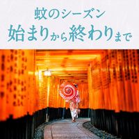 蚊 駆除 蚊取り器 アースノーマット 取替えボトル 60日用 無香料 液体 詰め替え用 殺虫剤 室内  1ケース（10本：2本入×5箱） アース製薬