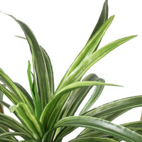 【在庫限り】プリマ　人工樹木　ユッカ　PRAS-107 1鉢