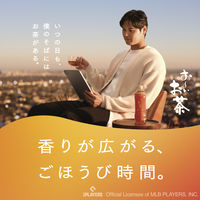 伊藤園 おーいお茶 ほうじ茶 280ml 1セット（48本） お茶 緑茶 小容量 ペットボトル