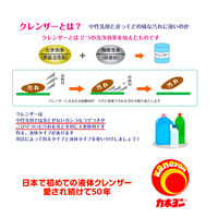 カネヨンＬ 2kg 1個 クリームクレンザー カネヨ石鹸