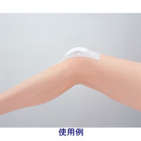 ニチバン メッシュポア 38mm×10m No.38 1箱（8巻入）