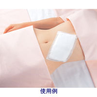 ニチバン サージカルテープ‐21N 18mm×9m No.18 1箱（18巻入）