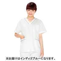 ディーフェイズ スクラブ DS2001 1枚　スクラブ（直送品）