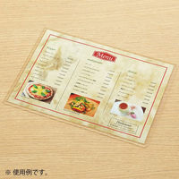 コクヨ カードケース 薄型 A3 硬質 ハード クケ-3013 1枚