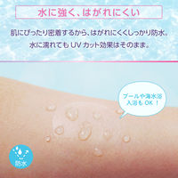 skinix エアウォールUV　No.50　MA-E3050-U　1巻