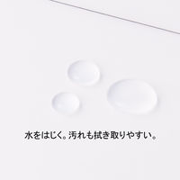 アスクル フラットファイル PP製 A4タテ 厚とじ 背幅28mm FF-P2S クリア（半透明） 5冊 オリジナル