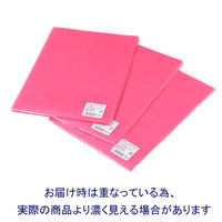 プラス カラークリアホルダー A4 ピンク 1セット(30枚) ファイル 89344