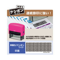 プラス 早撃ちケシポンワイド ピンク 個人情報保護スタンプ IS-250CM