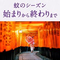 蚊 駆除 蚊取り器 アースノーマット 取替えボトル 90日用 無香料 液体 詰め替え用 殺虫剤 室内  1ケース（10本：2本入×5箱） アース製薬