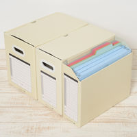 プラス サンプルボックス　ＢＦ10ーＡ4ー150　Ａ4　淡 BF10-A4-150 LGY 1冊（直送品）