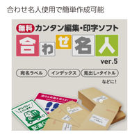 コクヨ カラーレーザー用耐水紙ラベル LBP-WP1900N 1袋(100枚入)