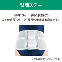 アルケア　サクロライト・DX　4L　17856 コルセット 腰痛ベルト